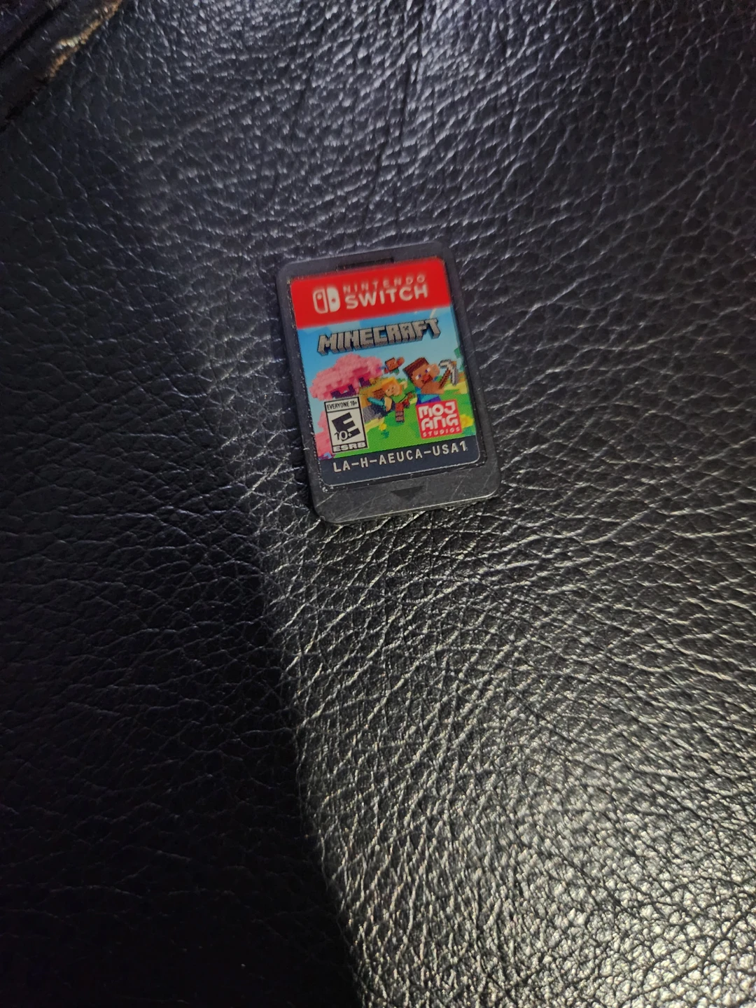 Minecraft for nintendo
