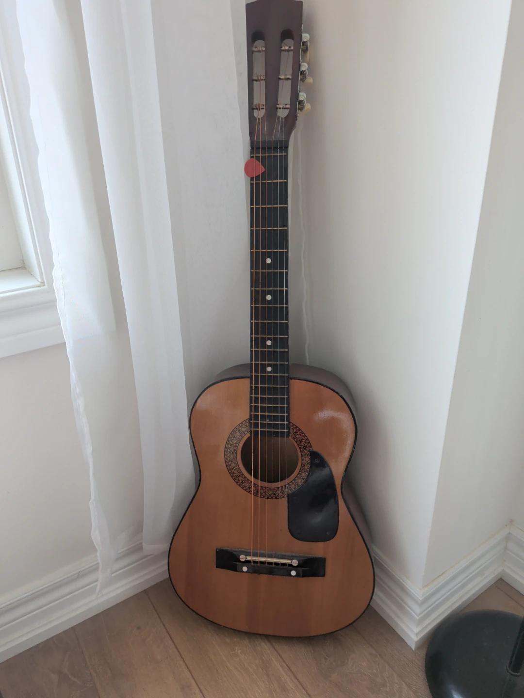 Acoustic Guitar