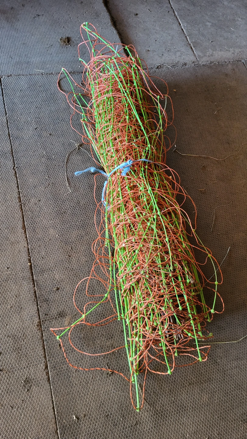 Electric sheep fencing