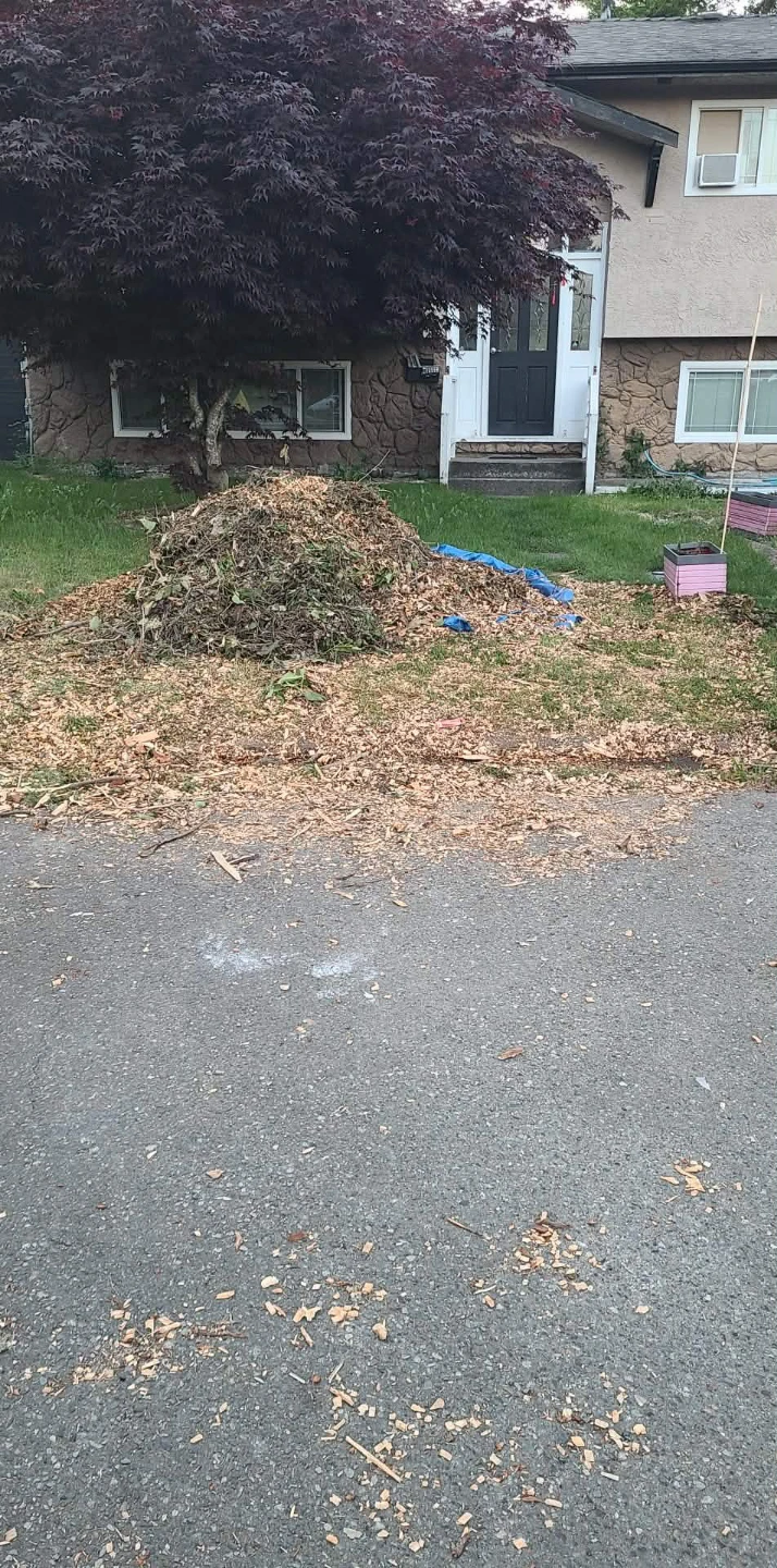 Wood Chips/Mulch