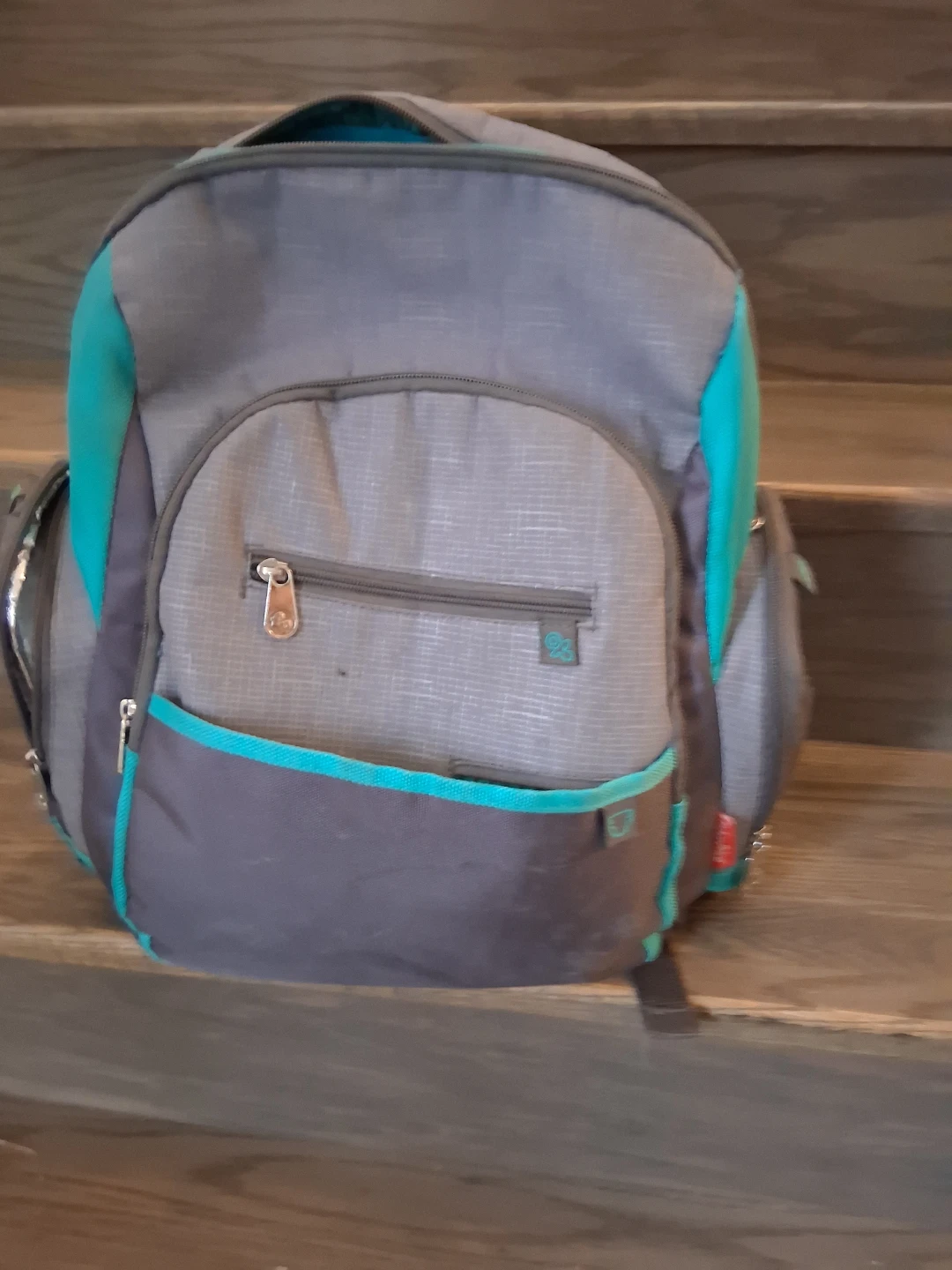 Fisher-Price baby Bag/backpack