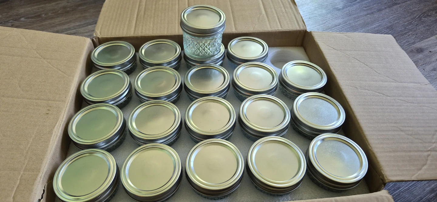 Small Mason Jars with Lids - Set of 20