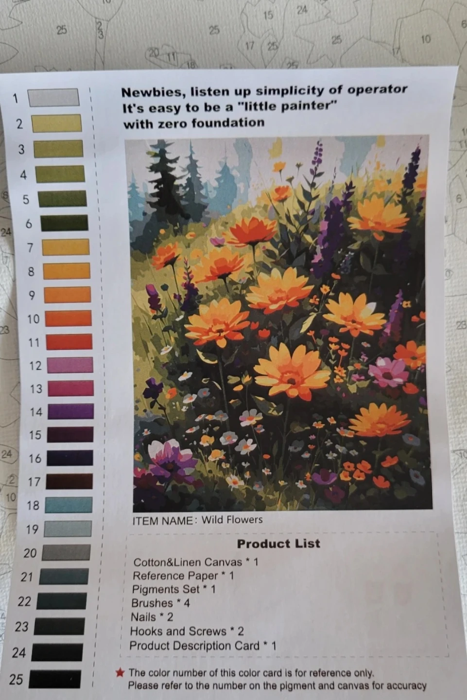 DoMyArt "Wild Flowers" Paint by Numbers Kit  ⚽
