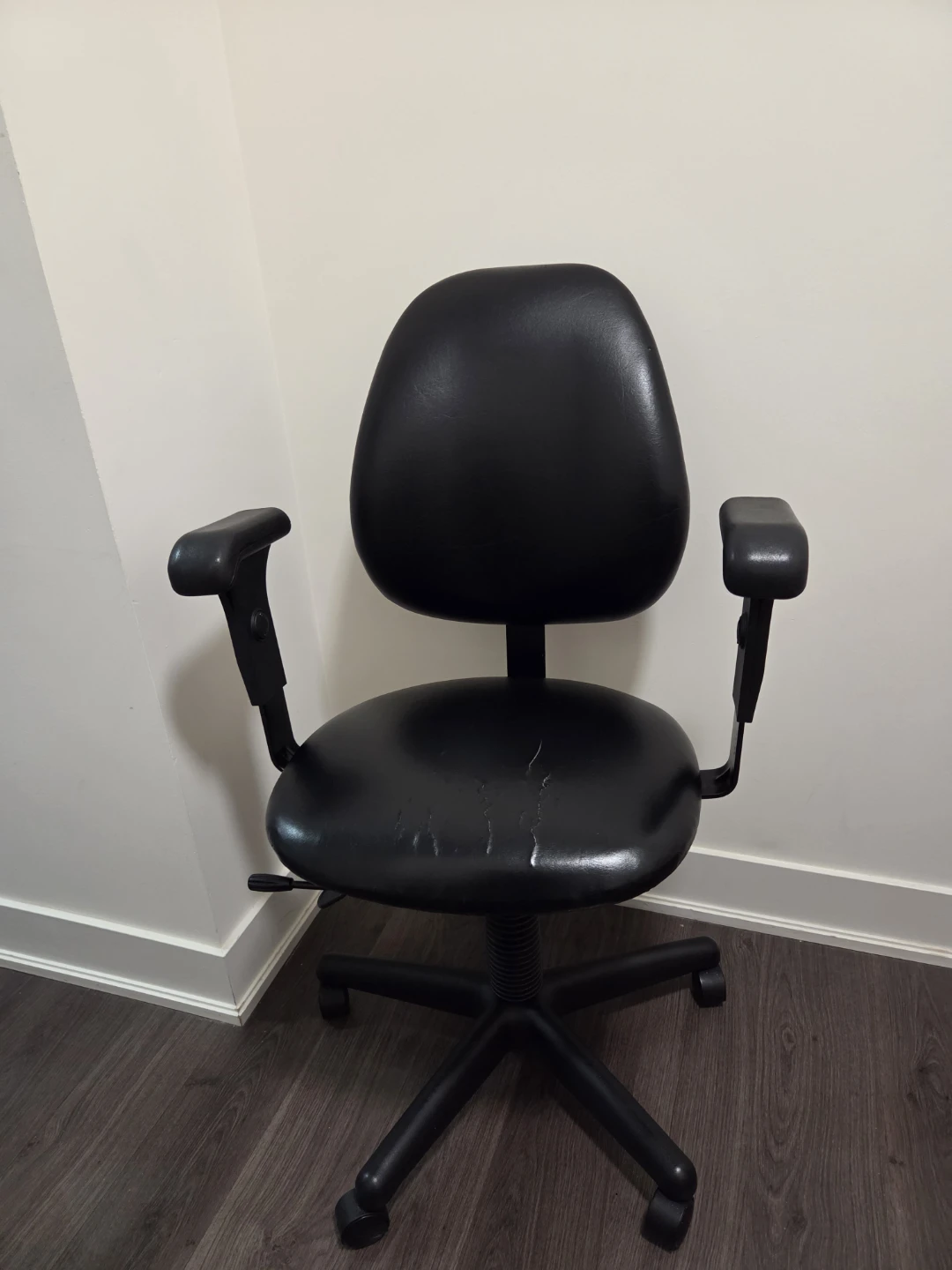 Ergonomic Task Office Chair with Adjustable Arms