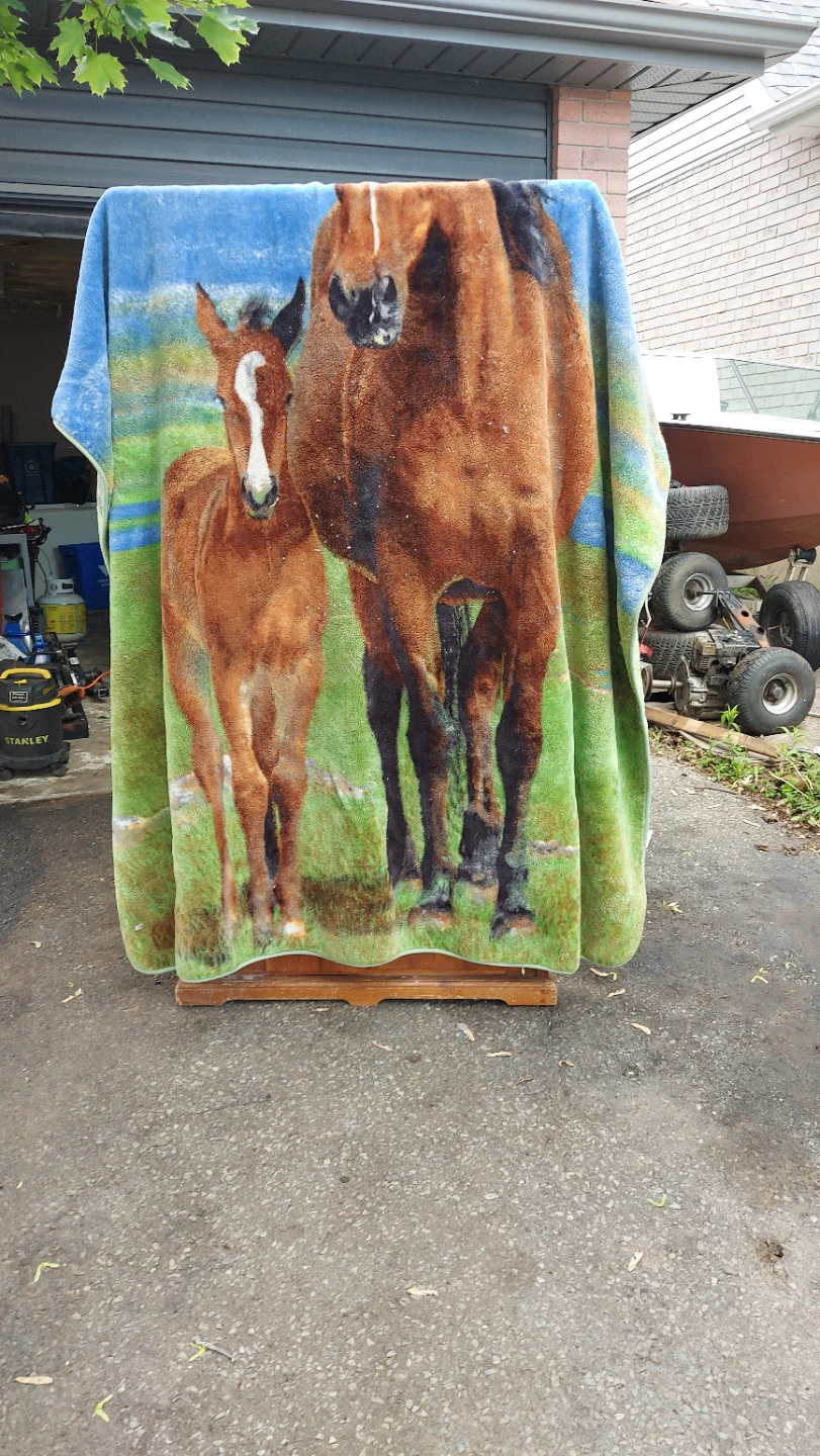 Horse and Foal Blanket