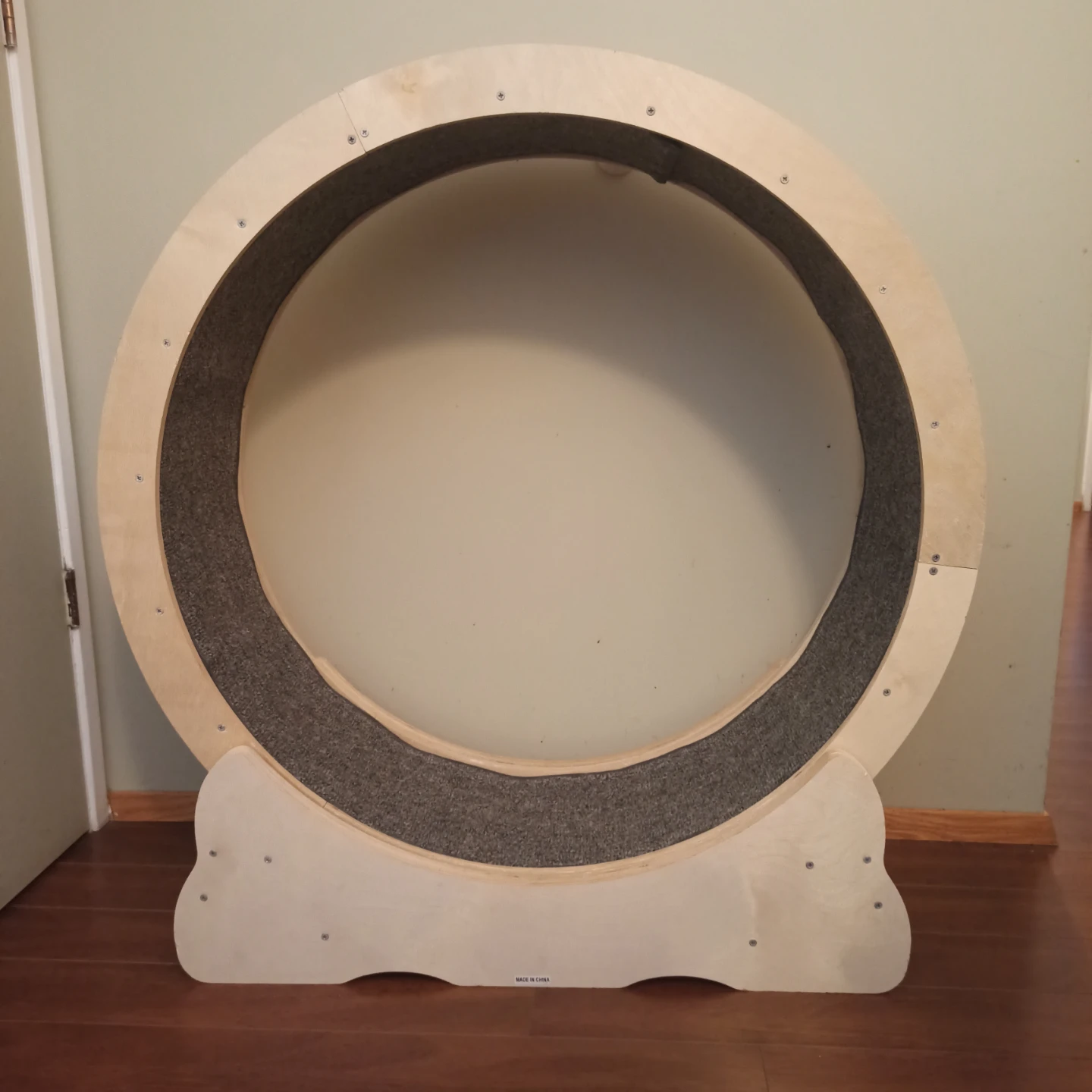 Cat wheel treadmill