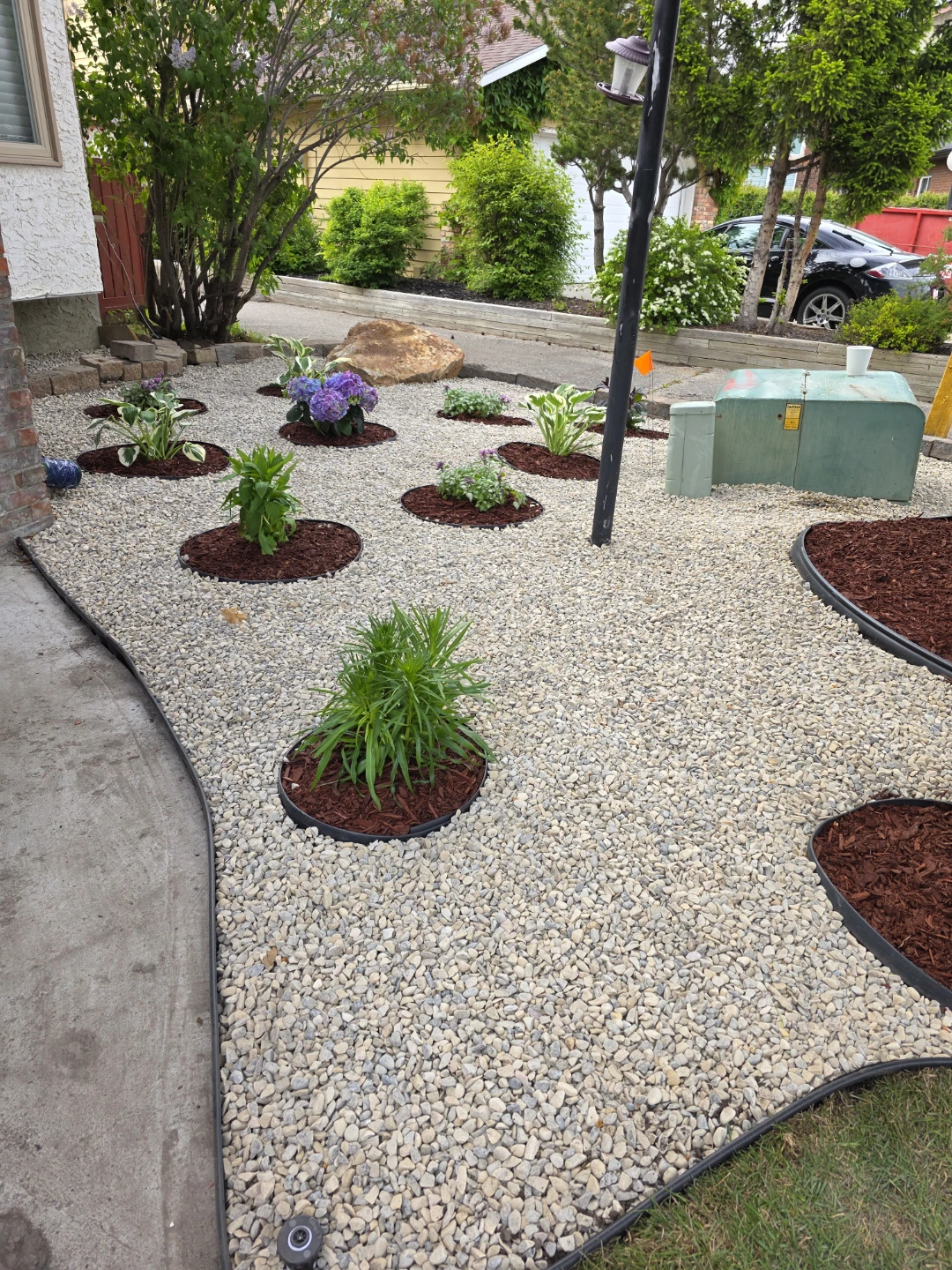 Landscaping Rocks and Plants