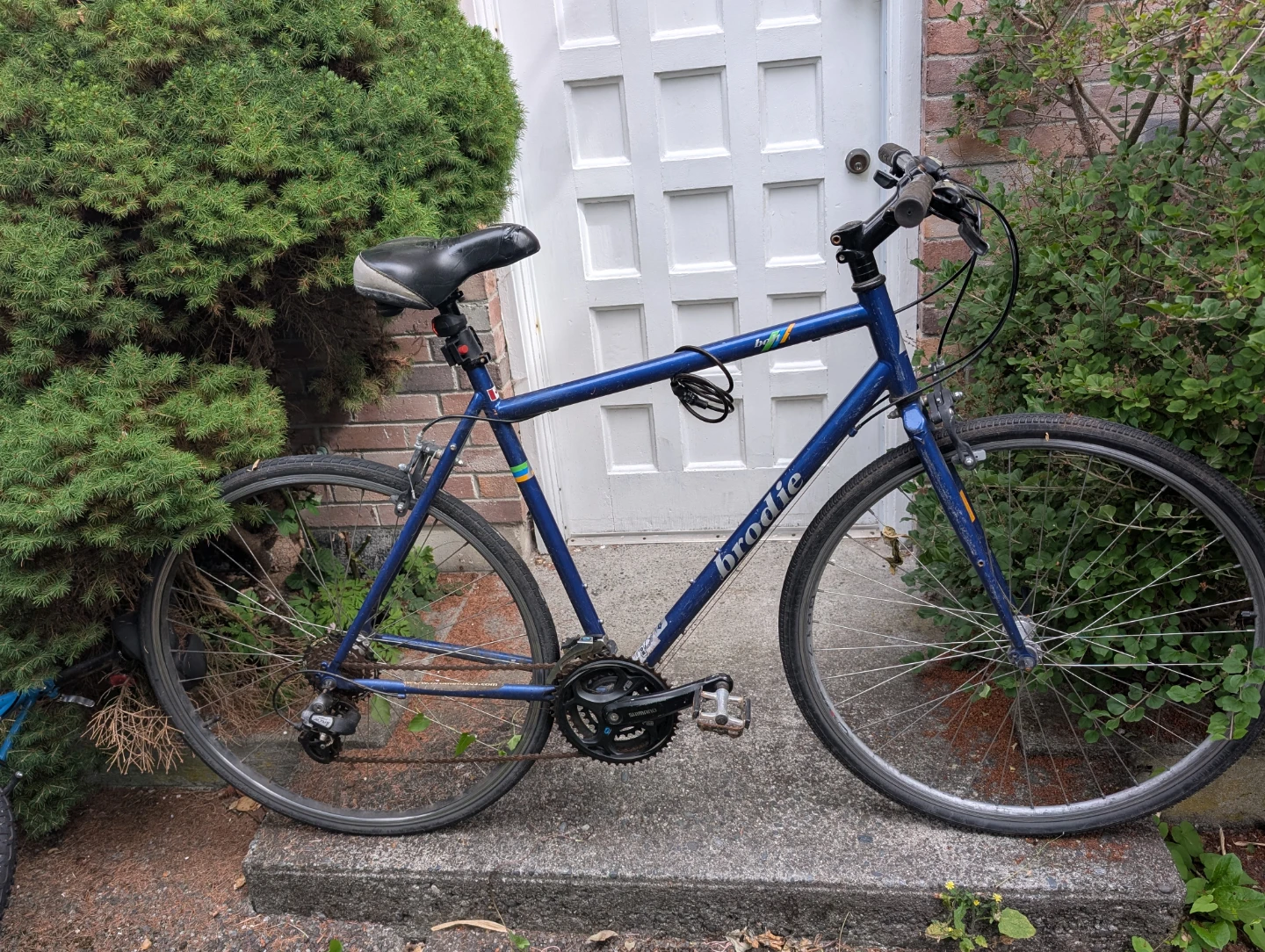 Blue Brodie Hybrid Bike