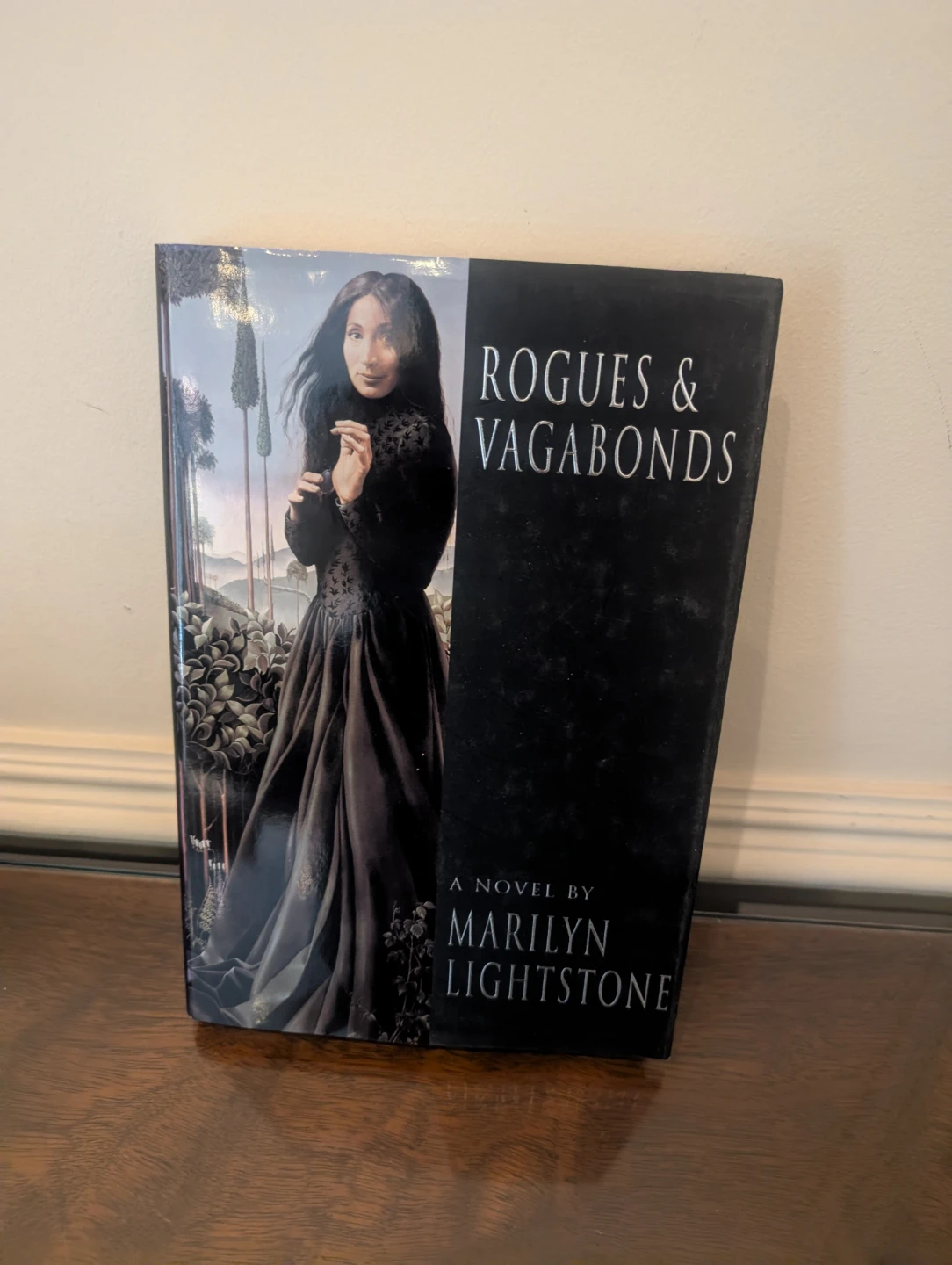 Rogue & Vagabonds by Marilyn Lightstone Novel