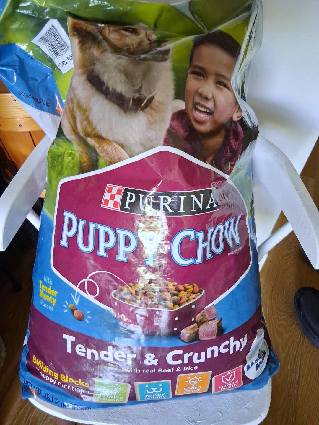 Purina Puppy Chow Tender & Crunchy Dog Food - 15 lb Bag
