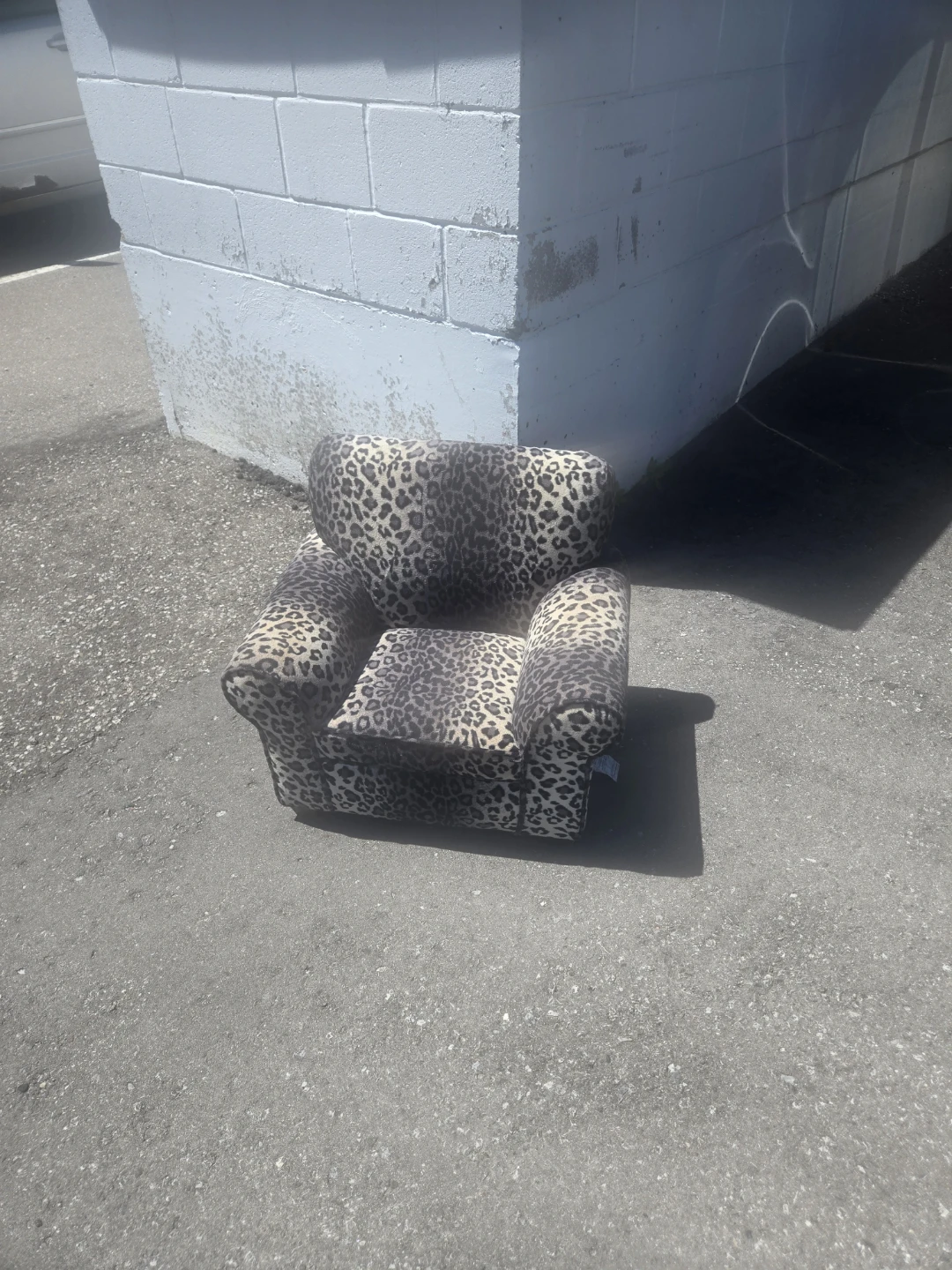 Kids Cheetah Print Accent Chair