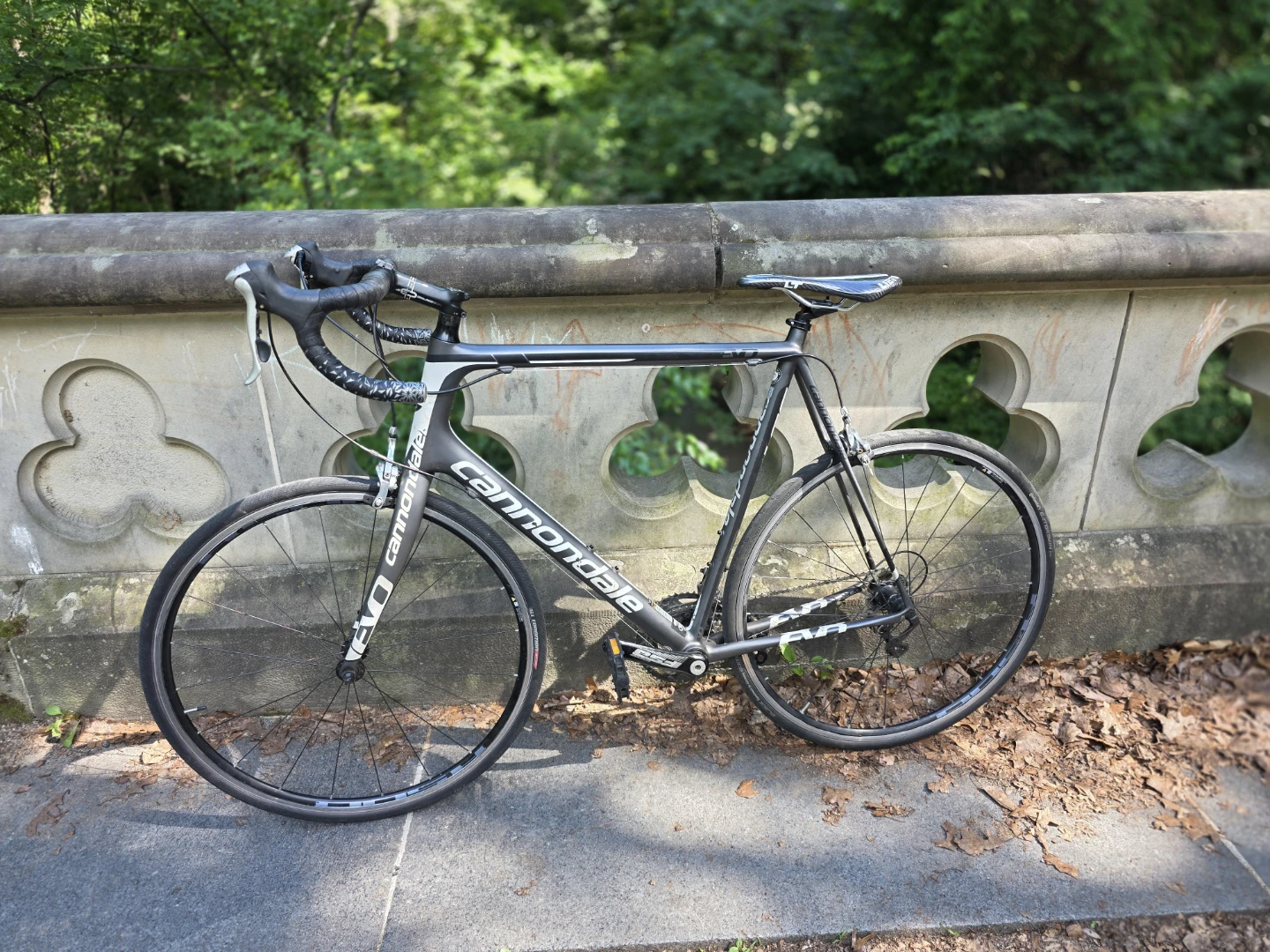 Full carbon fiber Cannondale evo tall