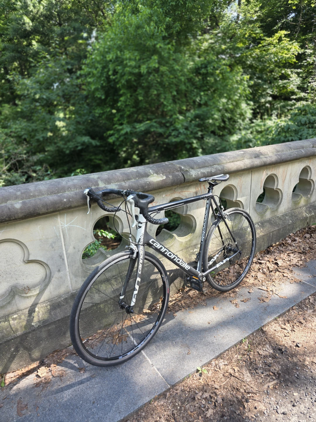 Full carbon fiber Cannondale evo tall - photo 2