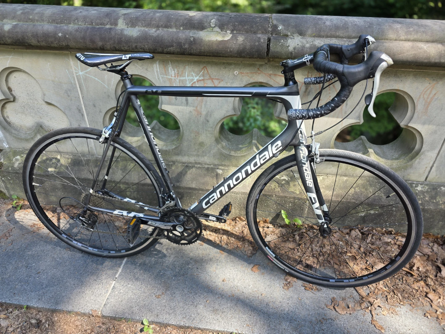 Full carbon fiber Cannondale evo tall - photo 3