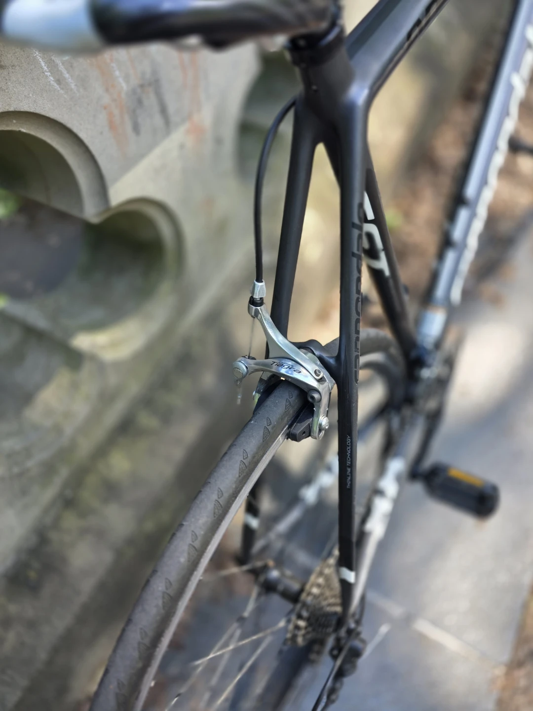 Full carbon fiber Cannondale evo tall - photo 4