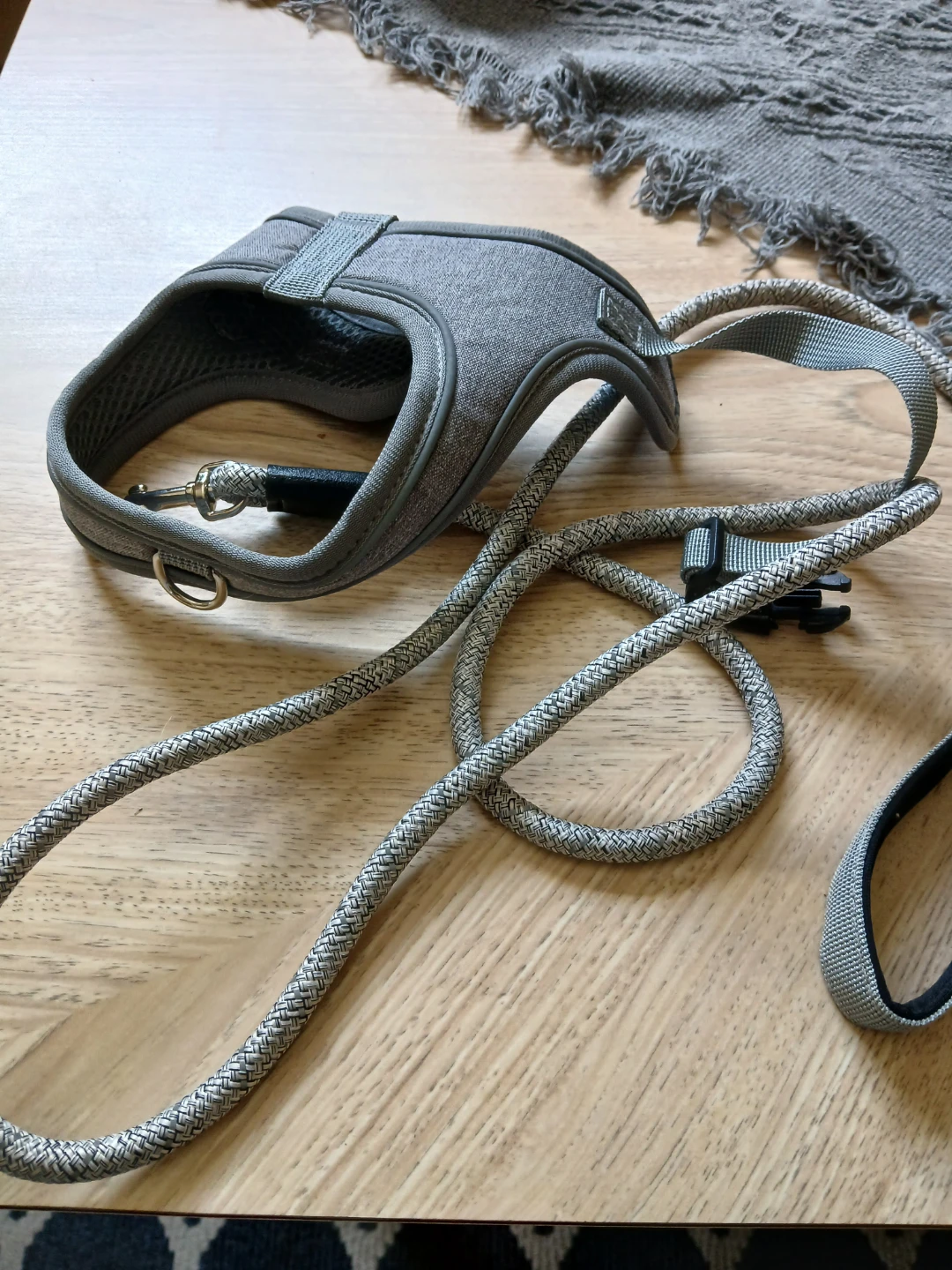 Grey Dog Harness and Leash Set