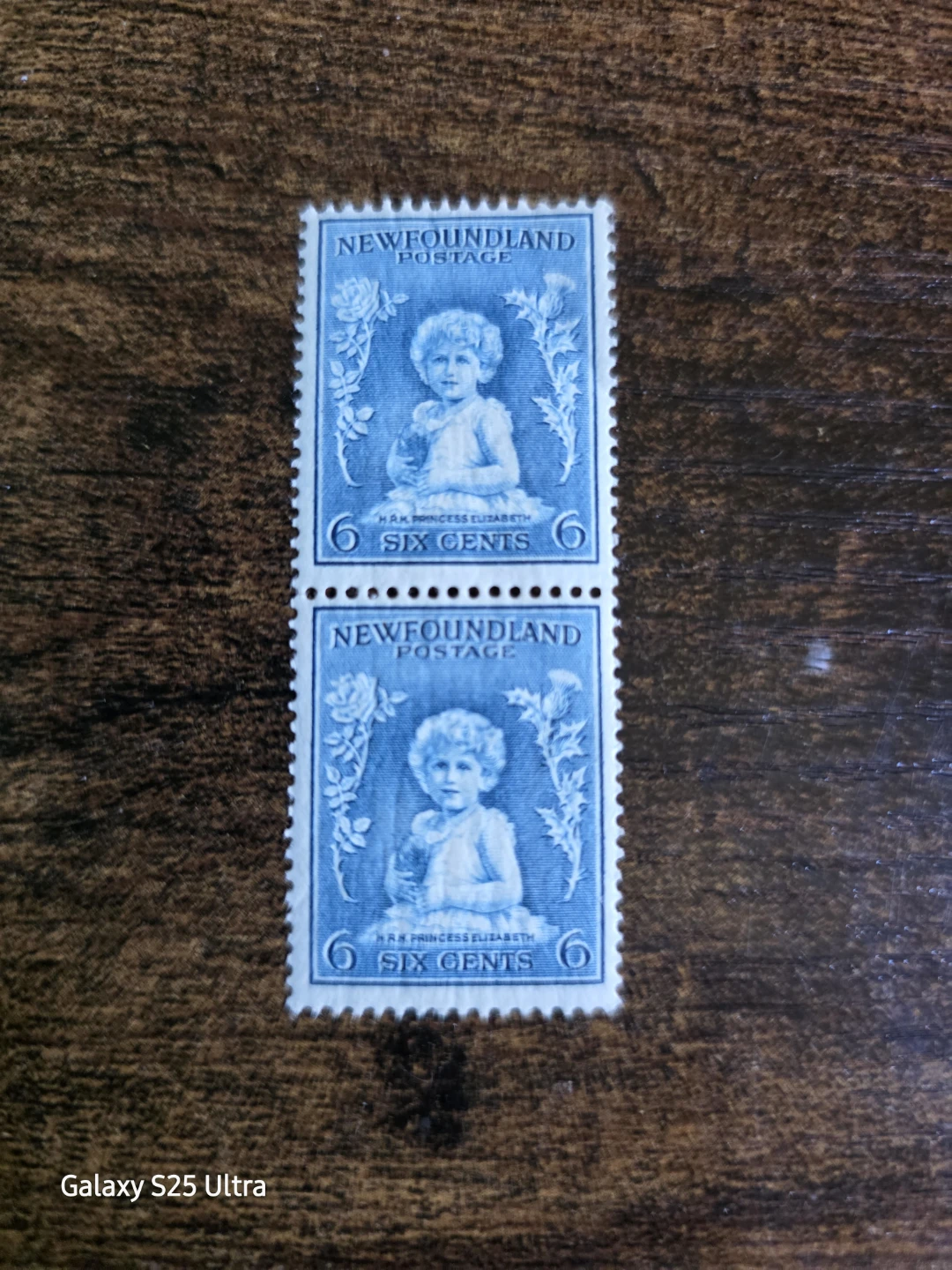 Newfoundland 6-cent H.R.H. Princess Elizabeth Scott #192