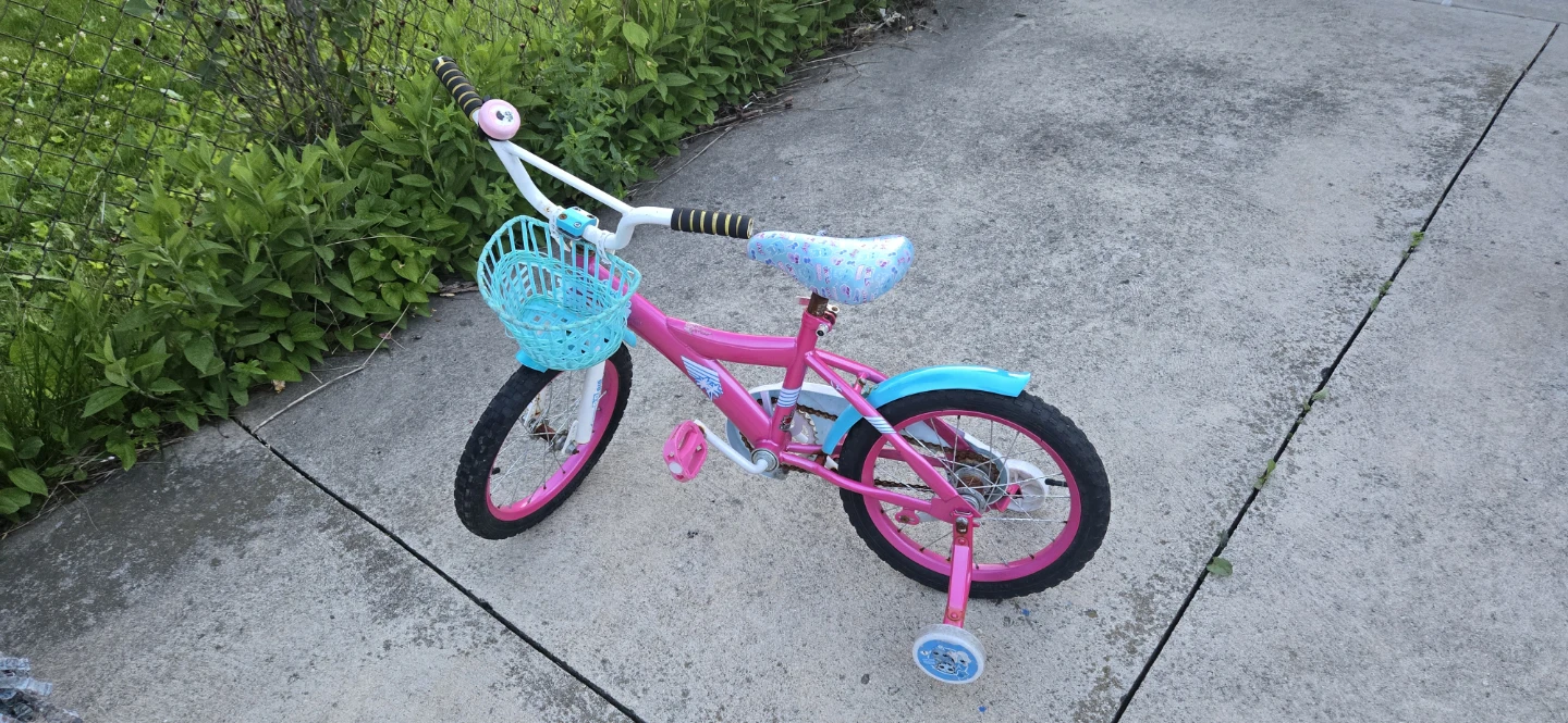 Kids Pink and Teal Bicycle with Training Wheels