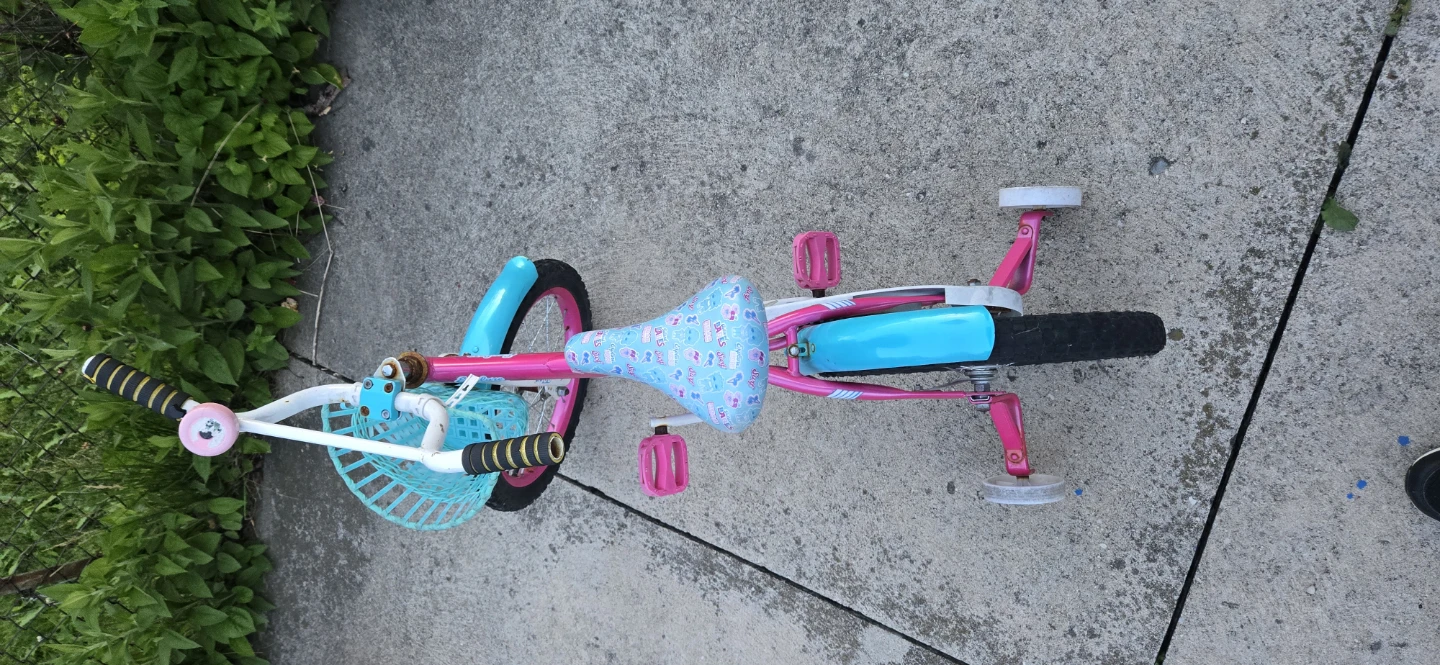 Kids Pink and Teal Bicycle with Training Wheels - photo 2