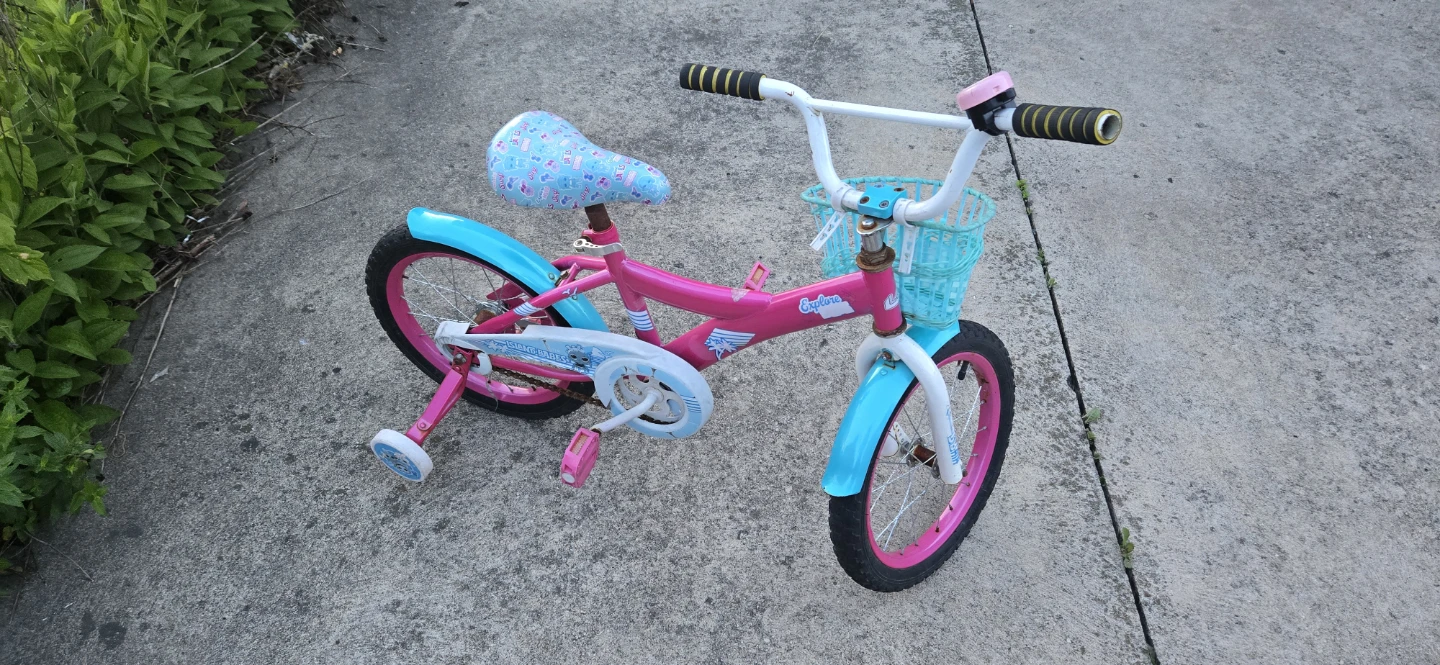 Kids Pink and Teal Bicycle with Training Wheels - photo 3