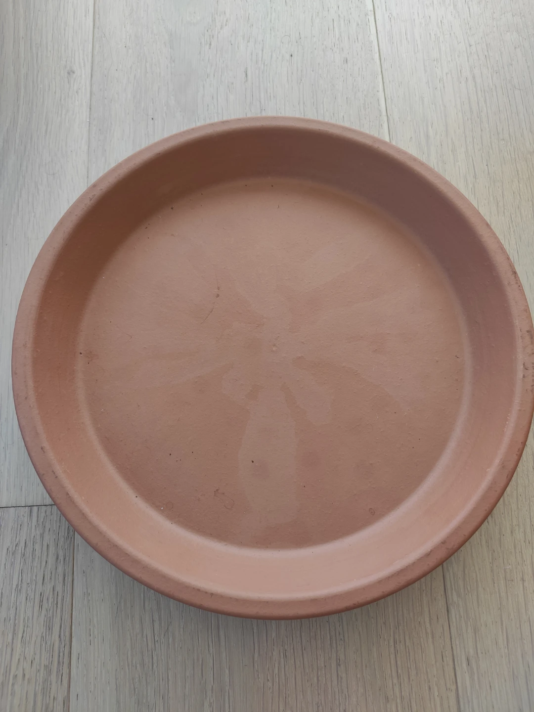 Terracotta Plant Saucers (Set of 2)