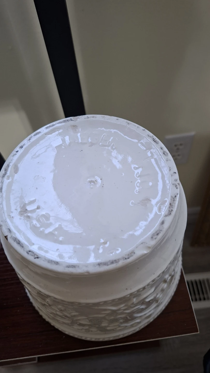 White Embossed Planter Pot - photo 3