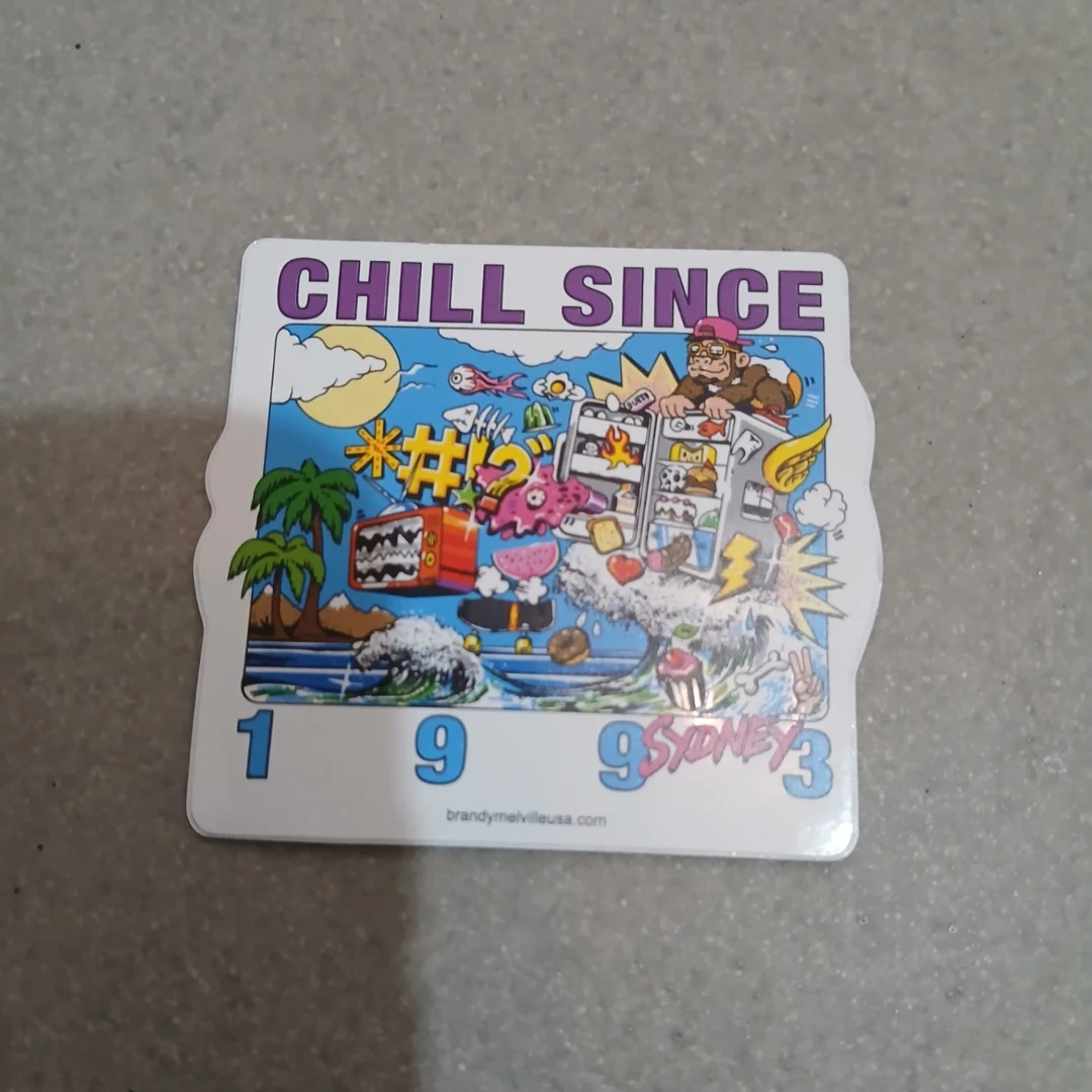 ⚽ Brandy Melville "Chill Since 1993" Sticker
