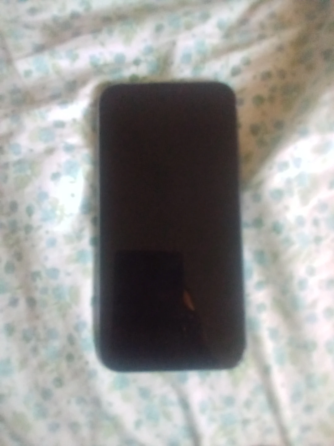 Apple iPhone 11 - photo 3