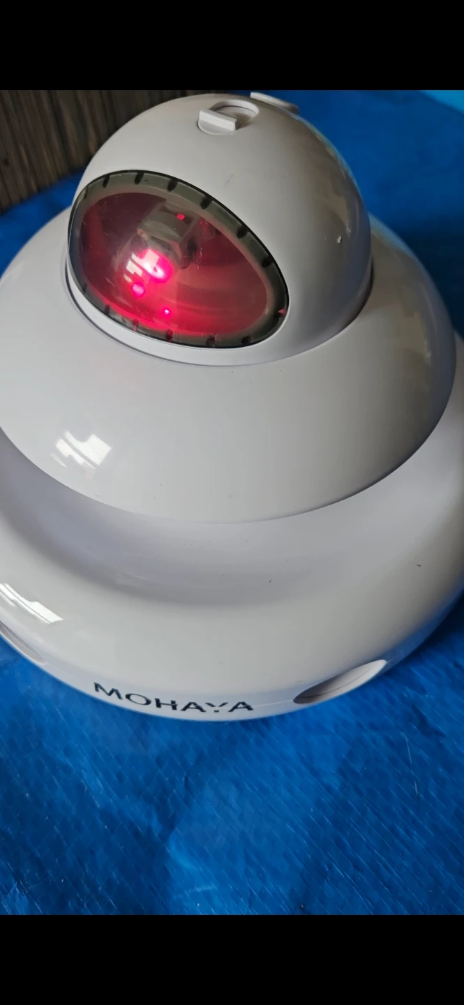 MOHAYA Interactive Laser Pointer Cat Toy