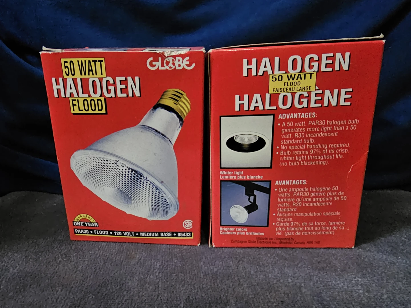 Globe 50 Watt Halogen Flood Light Bulbs (2-Pack)