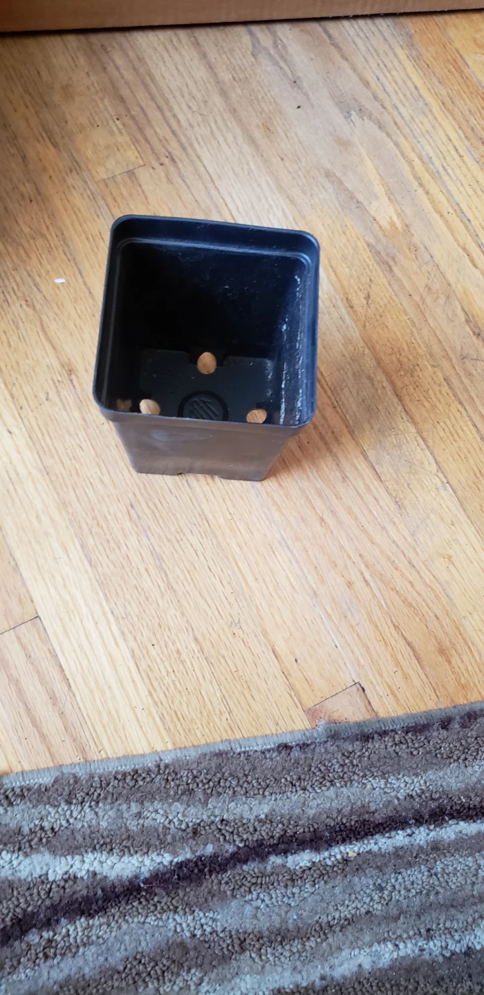 Nursery Black Plastic Plant Pots