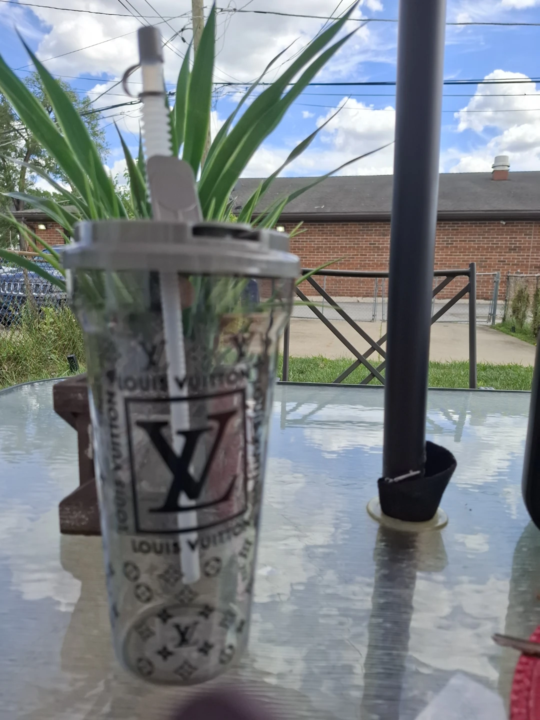 Hello Kitty Louis Vuitton Inspired Tumbler with Straw - photo 3