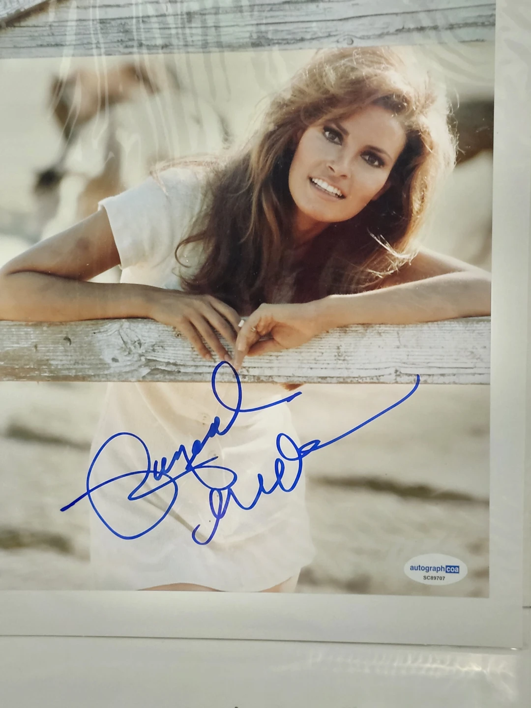 Raquel Welch Autographed Photo with COA
