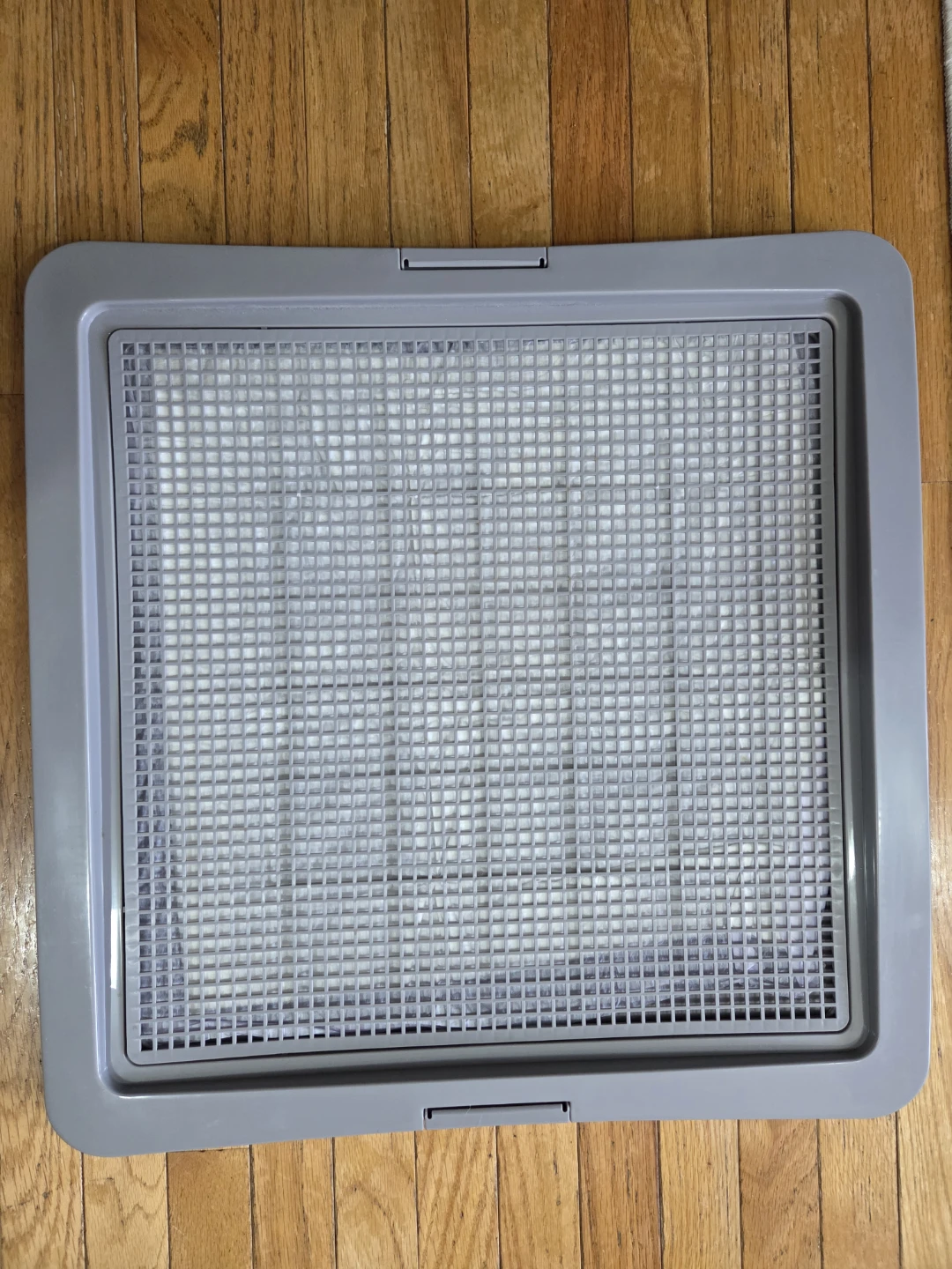Grey Pet Training Tray