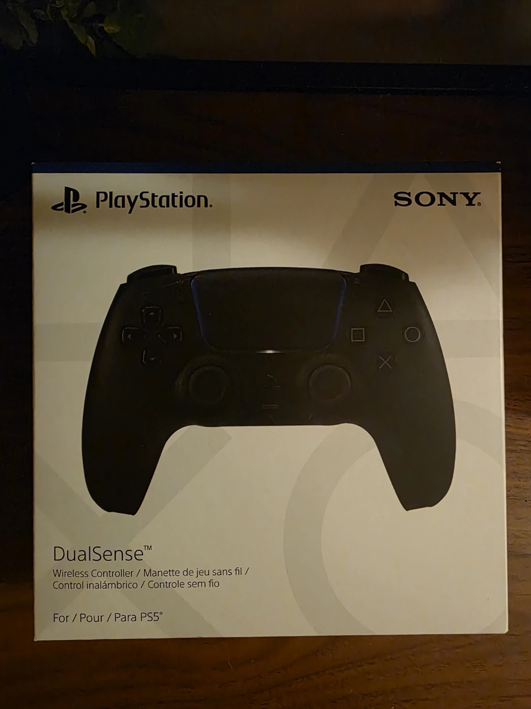 PS5 Controller