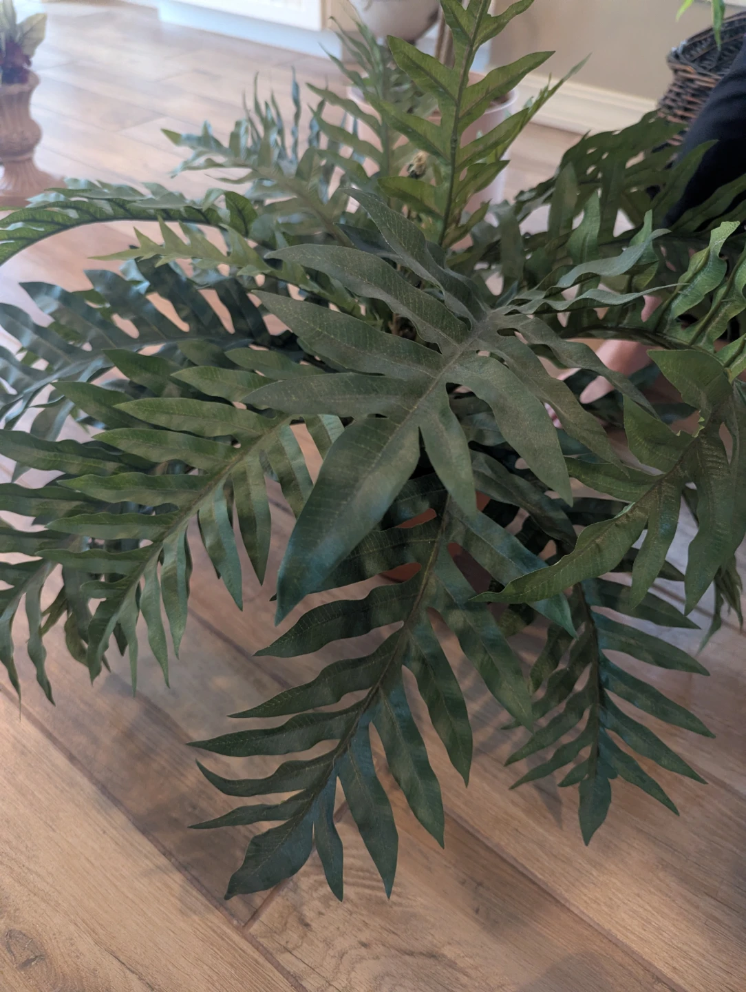Artificial Fern Plant