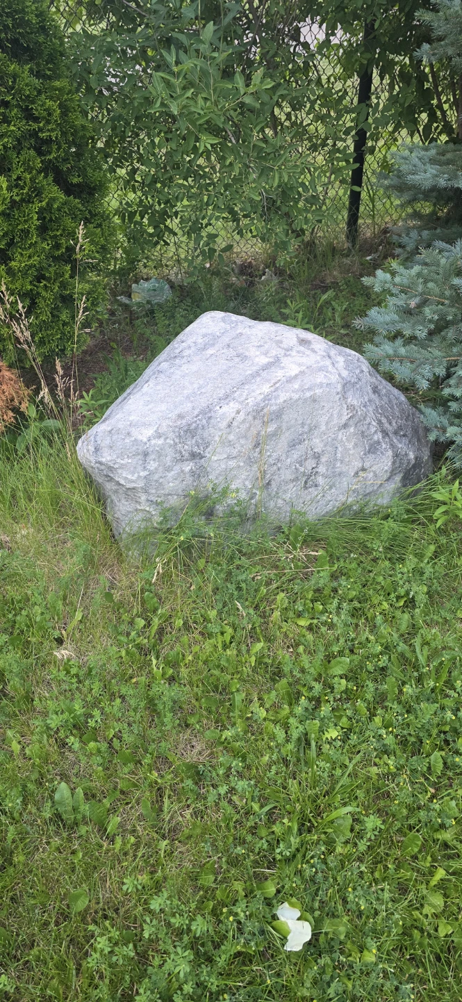 Free Large Landscaping Rock / Boulder (Must Haul)