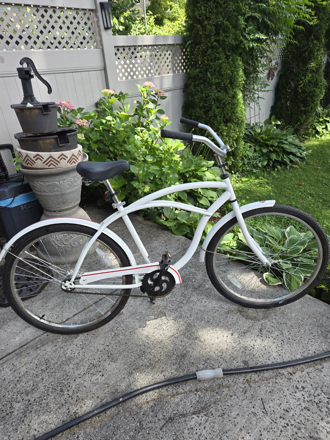Cruising Bike