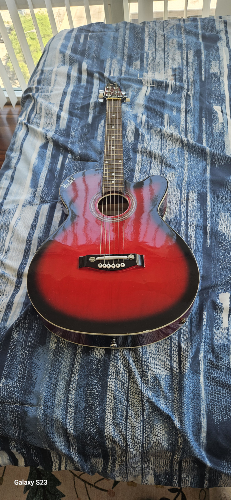 Brand new Master Guitar with case