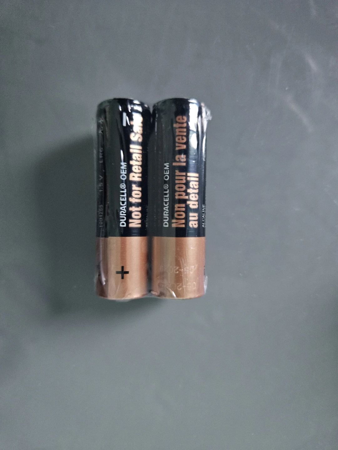 Duracell OEM AA Alkaline Batteries (2-Pack)
