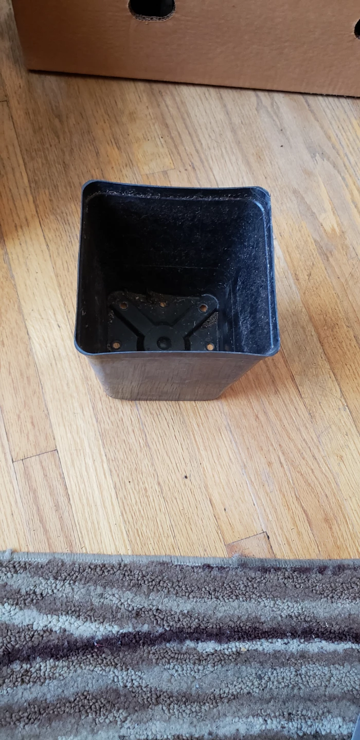 WANTED: Buyers for Assorted Plant Pots