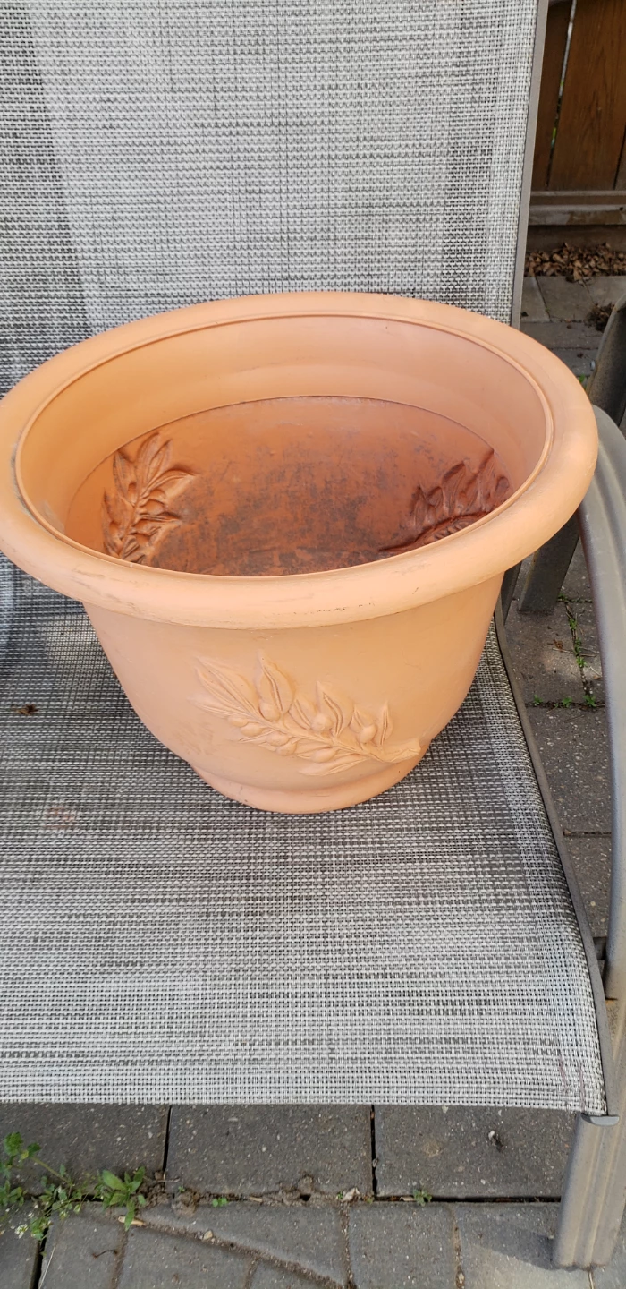 WANTED: Buyers for Assorted Plant Pots - photo 5