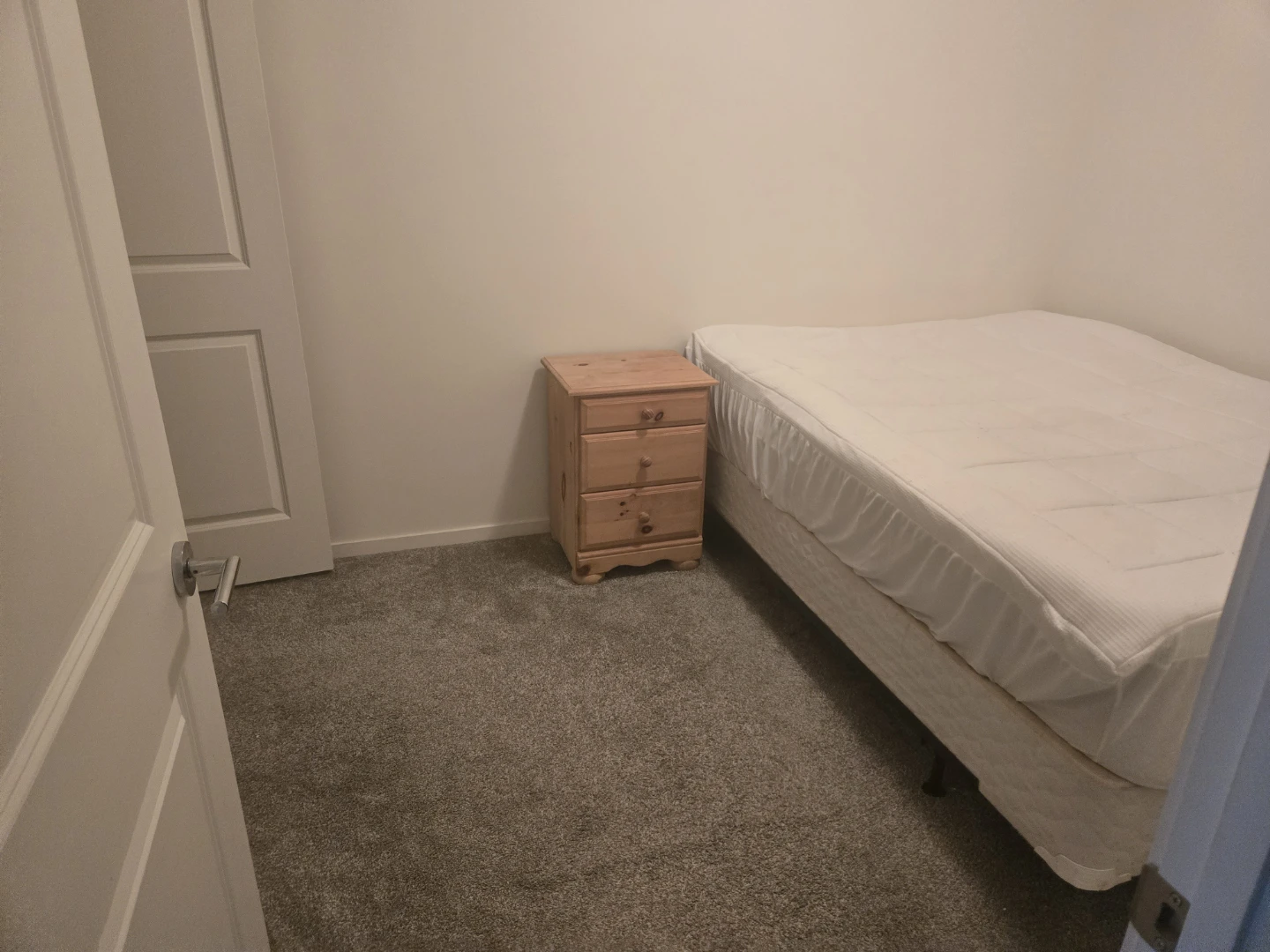 Roommate Wanted - photo 3