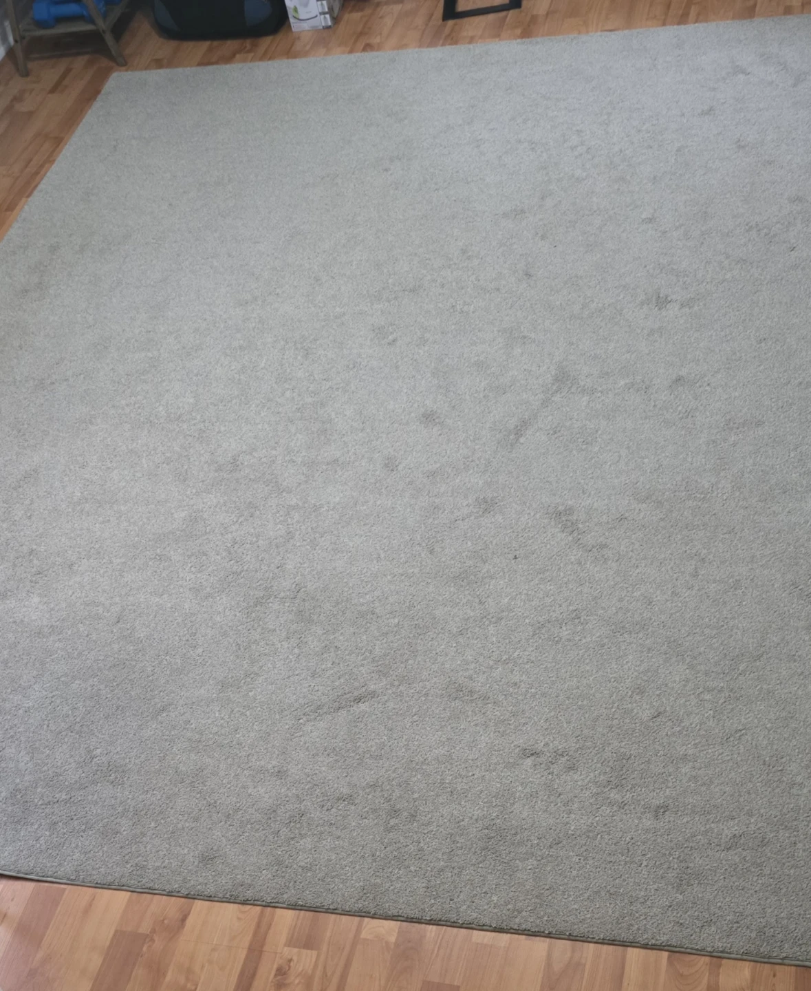 Large Grey Area Rug