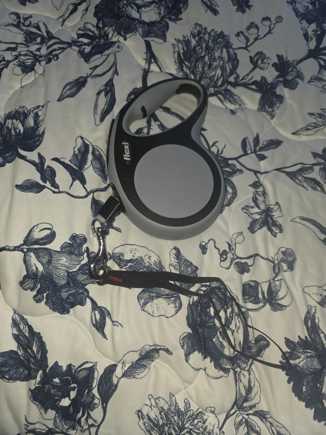 Flexi Retractable Dog Leash