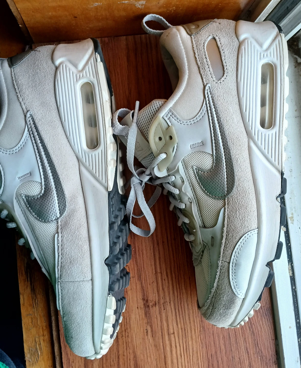 Nike Air Max 90 Shoes