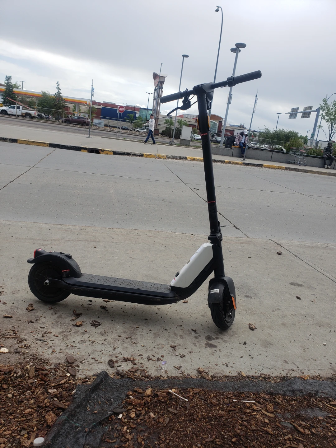 Segway Ninebot Electric Scooter