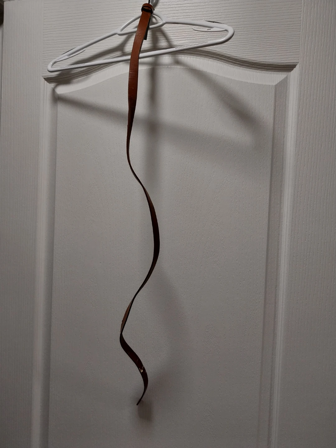 #Freecycle Brown Belt Strap