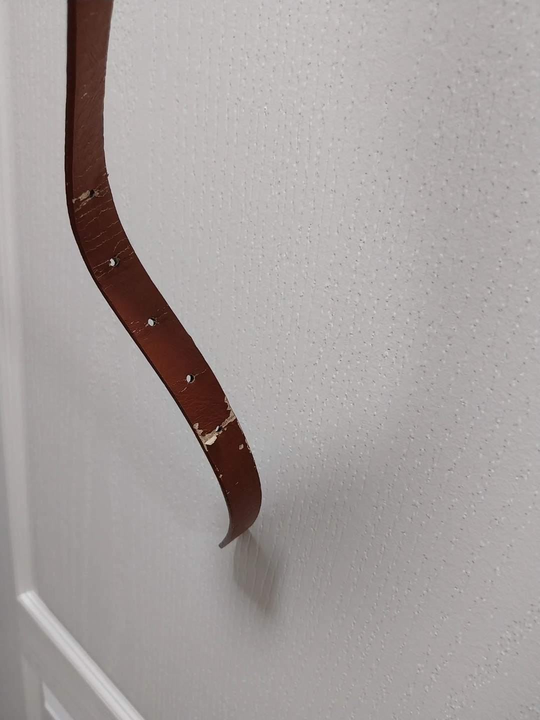 #Freecycle Brown Belt Strap - photo 2