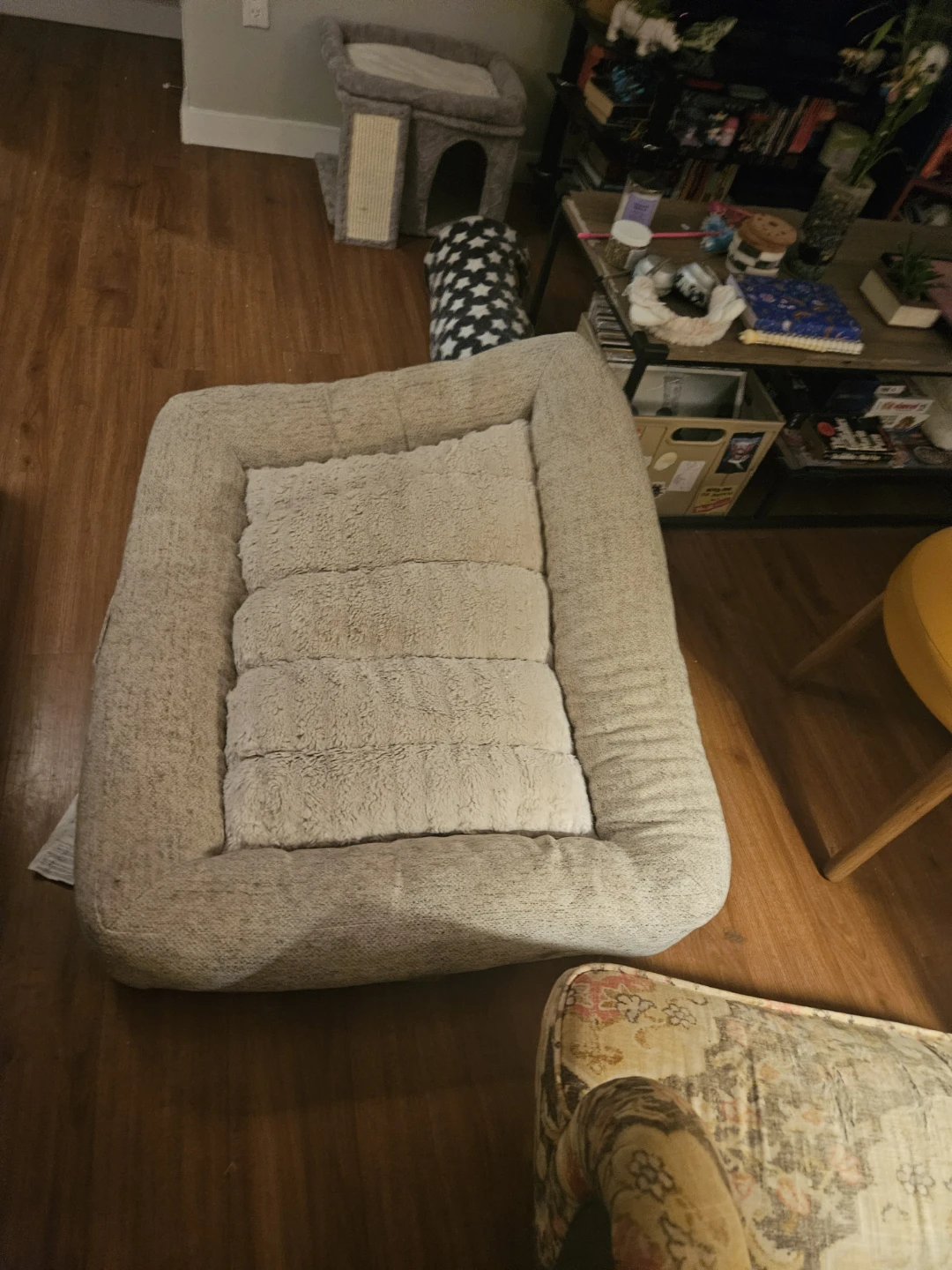 Dog Care Bundle - photo 4